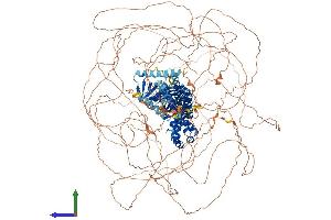 AlphaFold protein structure predicition of Human Recombinant ARHGEF5 Protein, UniprotID Q12774