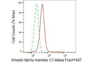 Flow cytometric analysis of Kinesin family member C1 expression in HepG2 cells using Kinesin family member C1 antibody (ABIN7799209), 1:2,000). (Rekombinanter KIFC1 Antikörper)