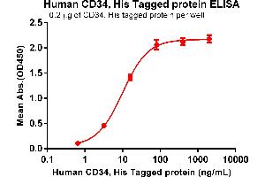 ELISA plate pre-coated by 2 μg/mL (100 μL/well) Human CD34 Protein, His Tag (ABIN6961155, ABIN7042339 and ABIN7042340) can bind Anti-CD34 antibody(DM134), Rabbit mAb in a linear range of 0.