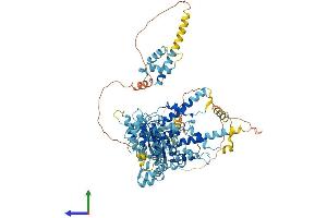 AlphaFold protein structure predicition of Mouse Recombinant Nvl Protein, UniprotID Q9DBY8