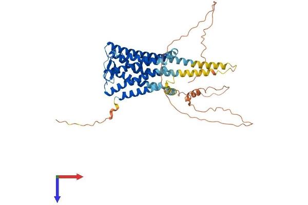 PTGER4 Protein (AA 1-488) (His tag)