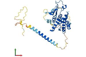Protein Structure (PS) image for Aminoacyl tRNA Synthetase Complex-Interacting Multifunctional Protein 2 (AIMP2) (AA 1-320) protein (His tag) (ABIN7551963)