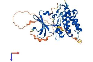 TRIB2 Protein (AA 1-343) (His tag)
