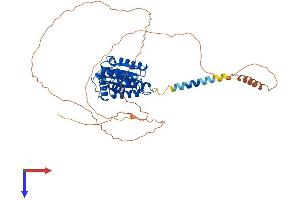 TOR1AIP2 Protein (AA 1-502) (His tag)