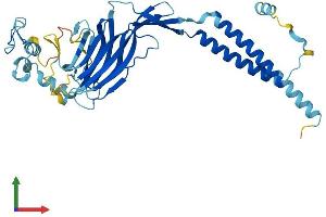 AlphaFold protein structure predicition of Human Recombinant ERGIC3 Protein, UniprotID Q9Y282