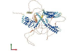 Protein Structure (PS) image for Potassium Voltage-Gated Channel, Shab-Related Subfamily, Member 1 (KCNB1) (AA 1-858) protein (His tag) (ABIN7554235)