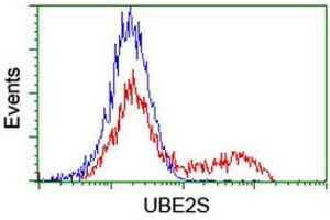 Image no. 1 for anti-Ubiquitin-Conjugating Enzyme E2S (UBE2S) antibody (ABIN1501644) (UBE2S Antikörper)