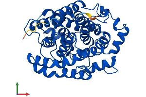 Protein Structure (PS) image for ADP-Ribosylarginine Hydrolase (ADPRH) (AA 1-362) protein (His tag) (ABIN7556175)