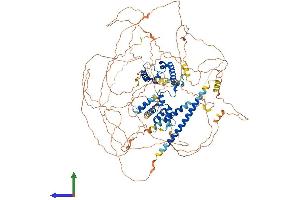 Protein Structure (PS) image for MKL/myocardin-Like 2 (MKL2) (AA 1-1080) protein (His tag) (ABIN7563484)