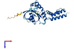 DNAJC27 Protein (AA 1-273) (His tag)