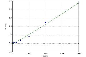 Protein Disulfide Isomerase Family A, Member 3 (PDIA3) ELISA Kit