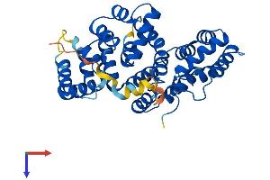 Annexin A9 Protein (ANXA9) (AA 1-345) (His tag)