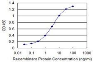 Detection limit for recombinant GST tagged A1BG is 0. (A1BG Antikörper  (AA 1-373))