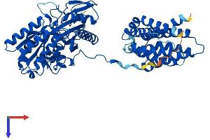 DAK Protein (AA 1-578) (His tag)