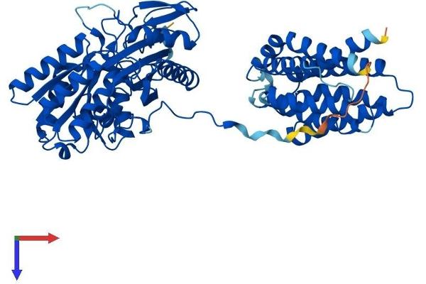 DAK Protein (AA 1-578) (His tag)