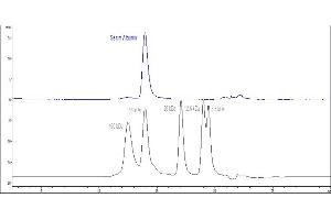 The purity of Human Serum Albumin, His Tag (ABIN2181228) was greater than 90 % as determined by . (HSA Protein (AA 25-609) (His tag))