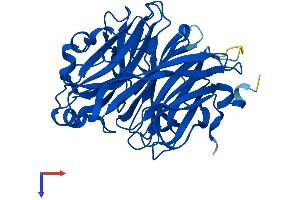 NEU2 Protein (AA 1-379) (His tag)