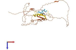 CPXCR1 Protein (AA 1-322) (His tag)