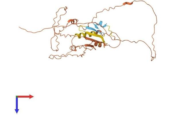 CPXCR1 Protein (AA 1-322) (His tag)
