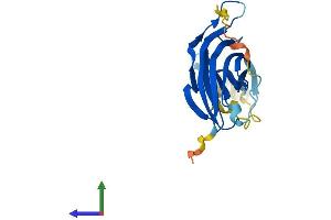 Protein Structure (PS) image for B9 Protein Domain 1 (B9D1) (AA 1-204) protein (His tag) (ABIN7556225)
