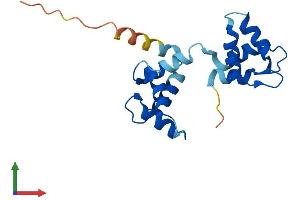 Protein Structure (PS) image for Myosin, Light Chain 5, Regulatory (MYL5) (AA 1-173) protein (His tag) (ABIN7549680)