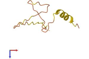 SNURF Protein (AA 1-71) (Fc Tag)