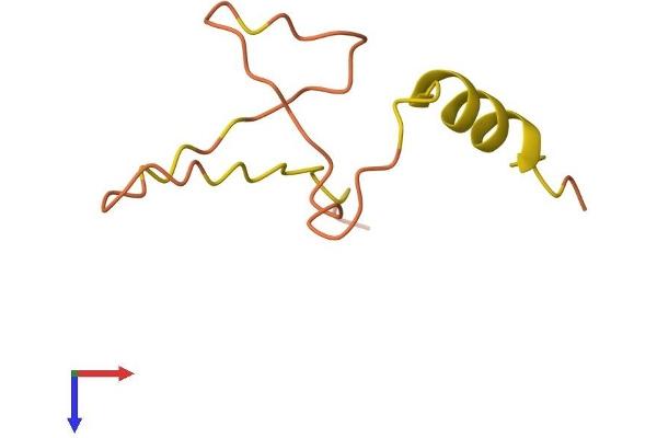 SNURF Protein (AA 1-71) (Fc Tag)