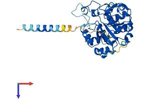 ST3GAL4 Protein (AA 1-333) (His tag)