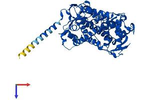 CYP2R1 Protein (AA 1-501) (His tag)