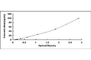 Typical standard curve (TUBB1 ELISA Kit)