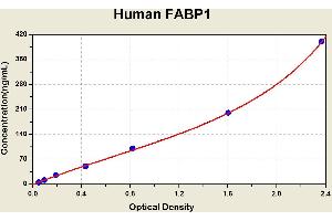 Diagramm of the ELISA kit to detect Human FABP1with the optical density on the x-axis and the concentration on the y-axis. (FABP1 ELISA Kit)