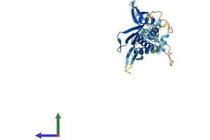 Protein Structure (PS) image for Protein Kinase, Interferon-Inducible Double Stranded RNA Dependent Activator (PRKRA) (AA 1-313) protein (His tag) (ABIN7556252)