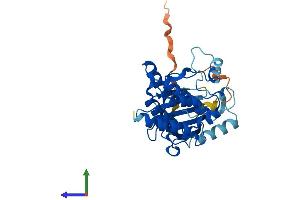 Protein Structure (PS) image for NEK7 (NEK7) (AA 1-302) protein (His tag) (ABIN7549675)