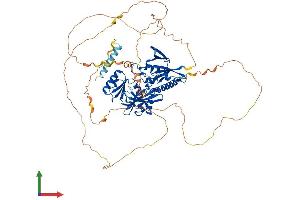 Protein Structure (PS) image for Synapsin I (SYN1) (AA 1-706) protein (His tag) (ABIN7562692)
