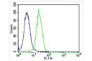 Flow Cytometry (FACS) image for anti-DNA-Damage-Inducible Transcript 3 (DDIT3) (AA 120-149), (C-Term) antibody (ABIN655895)