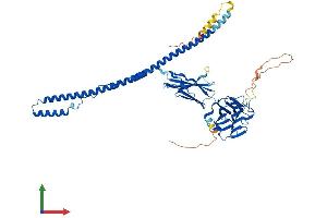 AlphaFold protein structure predicition of Human Recombinant FSD1L Protein, UniprotID Q9BXM9