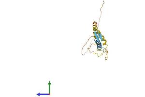 KLRC4 Protein (AA 1-158) (His tag)