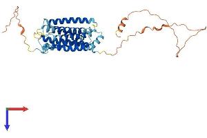 Transmembrane Protein, Adipocyte Asscociated 1 (TPRA1) (AA 1-373) protein (His tag)