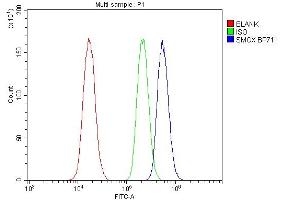 Flow Cytometry analysis of PC-3 cells using anti-SMOX antibody (ABIN7601652).