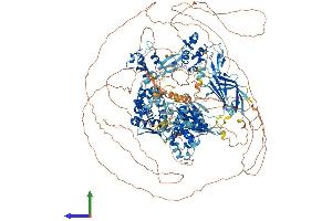 Protein Structure (PS) image for HECT, C2 and WW Domain Containing E3 Ubiquitin Protein Ligase 2 (HECW2) (AA 1-1578) protein (His tag) (ABIN7564048)