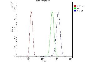 Flow Cytometry analysis of SiHa cells using anti-HDAC4 antibody (ABIN5518841).