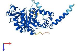 GDPD3 Protein (AA 1-318) (His tag)