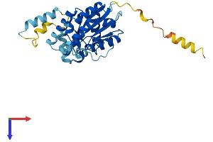 GPN3 Protein (AA 1-284) (His tag)