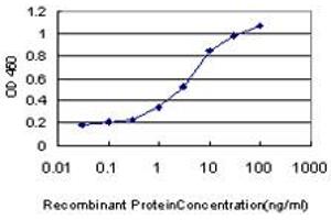 ELISA image for anti-N-Methylpurine-DNA Glycosylase (MPG) (AA 1-90) antibody (ABIN598819) (MPG Antikörper  (AA 1-90))