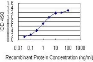 Detection limit for recombinant GST tagged SYT13 is 0. (SYT13 Antikörper  (AA 36-135))