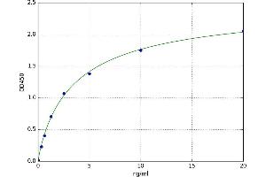Caldesmon 1 (CALD1) ELISA Kit