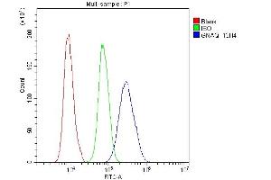 Flow Cytometry analysis of U20S cells using anti- GNAQ antibody (ABIN6719526).