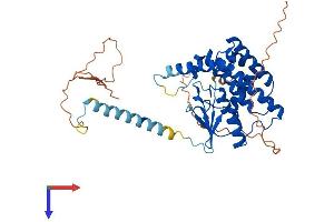 C6orf168 Protein (AA 1-409) (His tag)