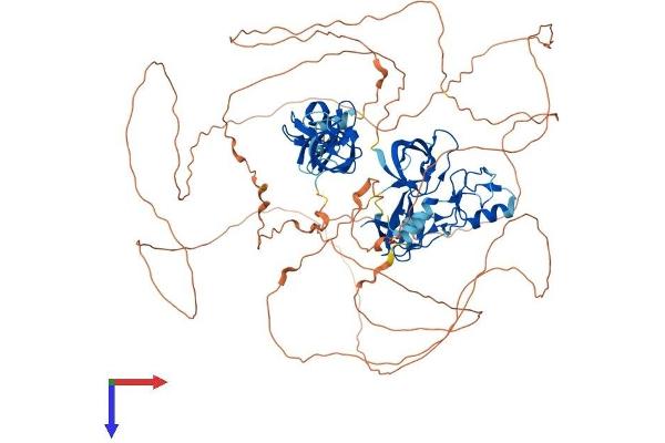 SH3RF1 Protein (AA 1-888) (His tag)