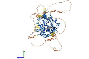 Protein Structure (PS) image for Myotubularin Related Protein 14 (MTMR14) (AA 1-648) protein (His tag) (ABIN7559913)
